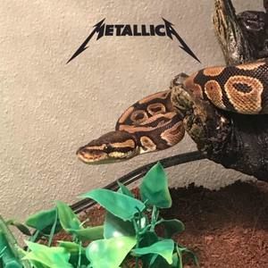 Meet your Posher, Dean